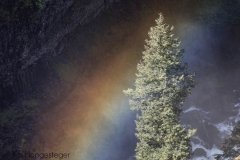 Canada 2016, Wells-Gray National Park