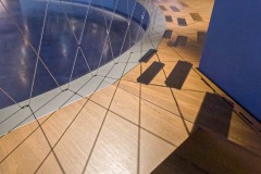 Frankrijk-Lyon-Musée des Confluences