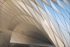 Frankrijk-Lyon-Musée des Confluences