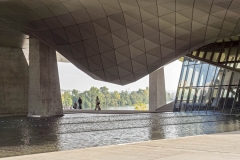 Frankrijk-Lyon-Musée des Confluences