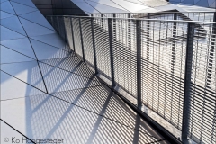 Frankrijk-Lyon-Musée des Confluences