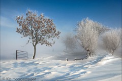 Nederland
