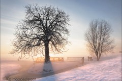 Nederland