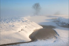Nederland