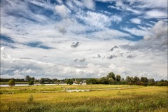 Nederland