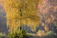 Nederland
