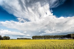 Nederland