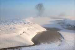 Nederland