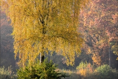 Nederland