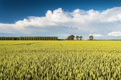 Nederland
