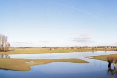 Uiterwaard-Lek-03_