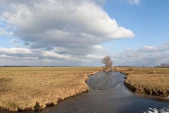 Winter-Alblasserwaard-07