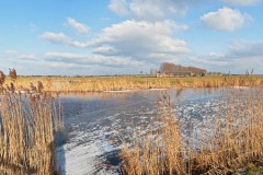 Winter-Alblasserwaard-Groot-Ammers-02
