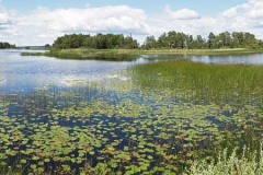 Zweden-02-1