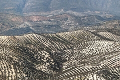 Spanje-Andalusië-06