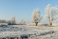 Winter-Alblasserwaard-05