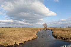Winter-Alblasserwaard-07