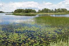 Zweden-02
