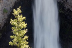 Canada 2016, Wells-Gray National Park