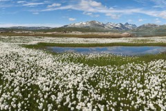 Noorwegen-Jotunheimen-02