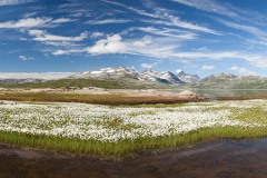 Noorwegen-Jotunheimen-03
