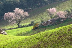 Spanje-Andalusië-01