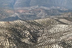 Spanje-Andalusië-06