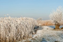 Winter-Alblasserwaard-06